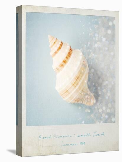 Beach Memories Small Conch-Susannah Tucker-Stretched Canvas