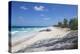 Beach near Nippers Bar, Great Guana Cay, Abaco Islands, Bahamas, West Indies, Central America-Jane Sweeney-Premier Image Canvas