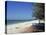 Beach North of Longboat Key, Anna Maria Island, Gulf Coast, Florida, USA-Fraser Hall-Premier Image Canvas