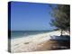 Beach North of Longboat Key, Anna Maria Island, Gulf Coast, Florida, USA-Fraser Hall-Premier Image Canvas