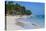 Beach of Bavaro, Punta Cana, Dominican Republic, West Indies, Caribbean, Central America-Michael-Premier Image Canvas
