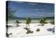 Beach of Koh Rong Samloem island, Cambodia, Indochina, Southeast Asia, Asia-Peter Schickert-Premier Image Canvas