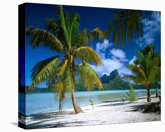 Beach on Bora Bora, Island of Tahiti, French Polynesia, The South Seas-null-Stretched Canvas