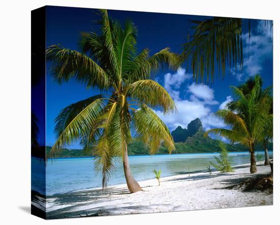 Beach on Bora Bora, Island of Tahiti, French Polynesia, The South Seas-null-Stretched Canvas