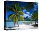 Beach on Bora Bora, Island of Tahiti, French Polynesia, The South Seas-null-Stretched Canvas