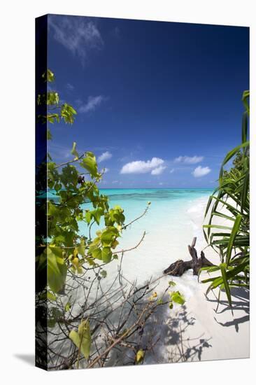 Beach on Desert Island, Maldives, Indian Ocean, Asia-Sakis Papadopoulos-Premier Image Canvas