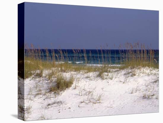 Beach on Gulf of Mexico, Al-Sherwood Hoffman-Premier Image Canvas