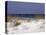 Beach on Gulf of Mexico, Al-Sherwood Hoffman-Premier Image Canvas