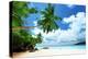 Beach on Mahe Island in Seychelles-Iakov Kalinin-Premier Image Canvas