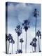 Beach Palms Indigo I-Devon Davis-Stretched Canvas