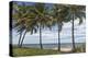 Beach Palms-Mary Lou Johnson-Stretched Canvas