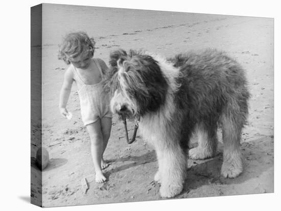 Beach Pals-null-Premier Image Canvas