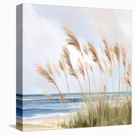 Beach Pampas-Isabelle Z-Stretched Canvas