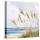 Beach Pampas-Isabelle Z-Stretched Canvas