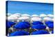 Beach Parasols, Nice, Alpes Maritimes, Provence, Cote D'Azur, French Riviera, France, Europe-Amanda Hall-Premier Image Canvas