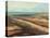 Beach Path-Carl Stieger-Stretched Canvas