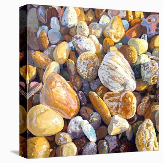 Beach Pebbles, 2007-Martin Decent-Premier Image Canvas