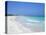 Beach, Playa Del Carmen, Yucatan, Mexico, North America-John Miller-Premier Image Canvas