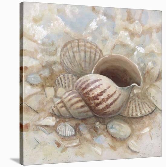 Beach Prize I-Arnie Fisk-Stretched Canvas