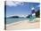Beach, Pulau Datai, Pulau Langkawi, Langkawi Island, Malaysia-Gavin Hellier-Premier Image Canvas