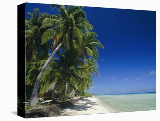 Beach, Rangiroa Atoll, Tuamotu Archipelago, French Polynesia, South Pacific Islands, Pacific-Sylvain Grandadam-Premier Image Canvas