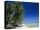 Beach, Rangiroa Atoll, Tuamotu Archipelago, French Polynesia, South Pacific Islands, Pacific-Sylvain Grandadam-Premier Image Canvas