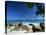 Beach Scene, Anse Lazio, Praslin, Seychelles, Indian Ocean, Africa-Lee Frost-Premier Image Canvas
