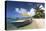 Beach Scene with Palm Trees-Lee Frost-Premier Image Canvas