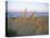 Beach Scene with Sea Oats-Steve Winter-Stretched Canvas