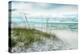 Beach Secrets-Mary Lou Johnson-Stretched Canvas