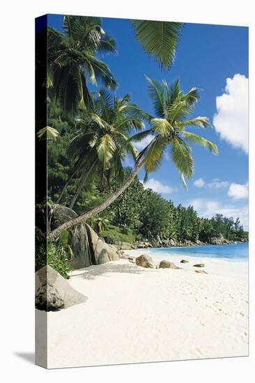 Beach, Seychelles-Robert Harding-Premier Image Canvas