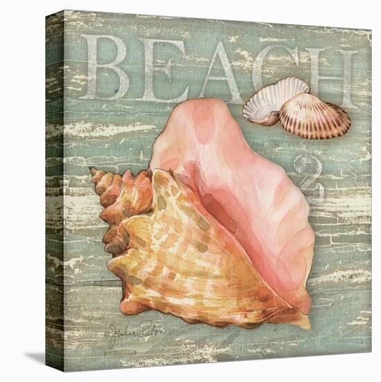 Beach Shells Conch-Julie Paton-Stretched Canvas
