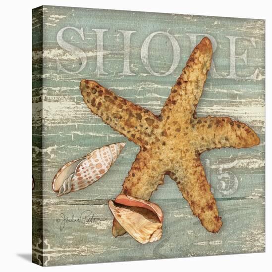 Beach Shells Starfish-Julie Paton-Stretched Canvas