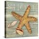 Beach Shells Starfish-Julie Paton-Stretched Canvas