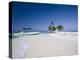 Beach, Silk Caye, Belize-Jane Sweeney-Premier Image Canvas