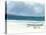 Beach Thalassa, 2015-Lincoln Seligman-Premier Image Canvas