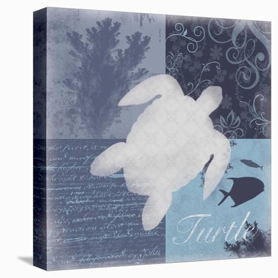 Beach Turtle-Lauren Gibbons-Stretched Canvas