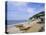 Beach, Ventnor, Isle of Wight, England, United Kingdom-Roy Rainford-Premier Image Canvas