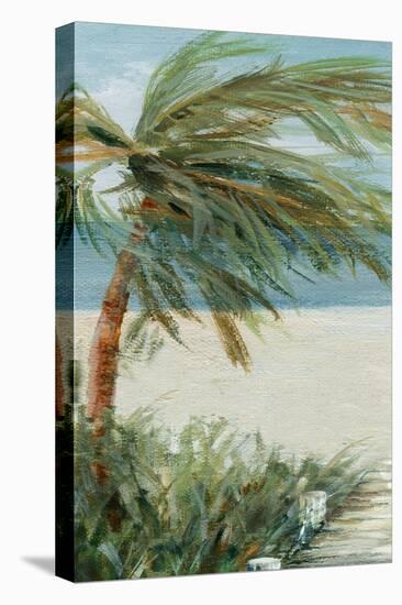Beach Walk I-Carol Robinson-Stretched Canvas