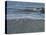 Beach Waver-Bruce Dumas-Premier Image Canvas