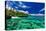 Beach with Coral Reef on South Side of Upolu, Samoa Islands-Martin Valigursky-Premier Image Canvas