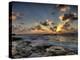 Beach-null-Premier Image Canvas