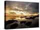 Beach-null-Premier Image Canvas