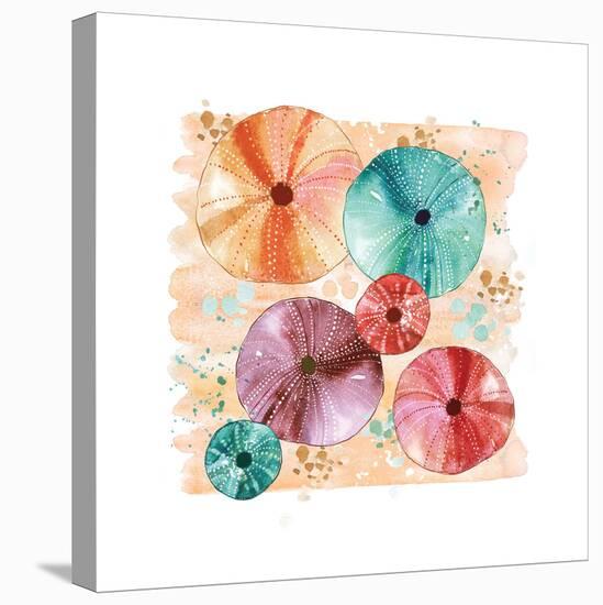 Beachcomber Sea Urchins-Sara Berrenson-Stretched Canvas