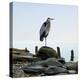 Beachscape Heron I-James McLoughlin-Premier Image Canvas