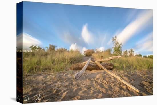 Beachwood Summer-5fishcreative-Premier Image Canvas