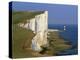 Beachy Head Lighthouse and Chalk Cliffs, Eastbourne, East Sussex, England, United Kingdom, Europe-Stuart Black-Premier Image Canvas