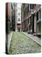 Beacon Hill-Carol Highsmith-Stretched Canvas