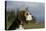 Beagle 66-Bob Langrish-Premier Image Canvas