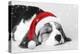 Beagle Dog Puppy Asleep Wearing a Christmas Hat-null-Premier Image Canvas